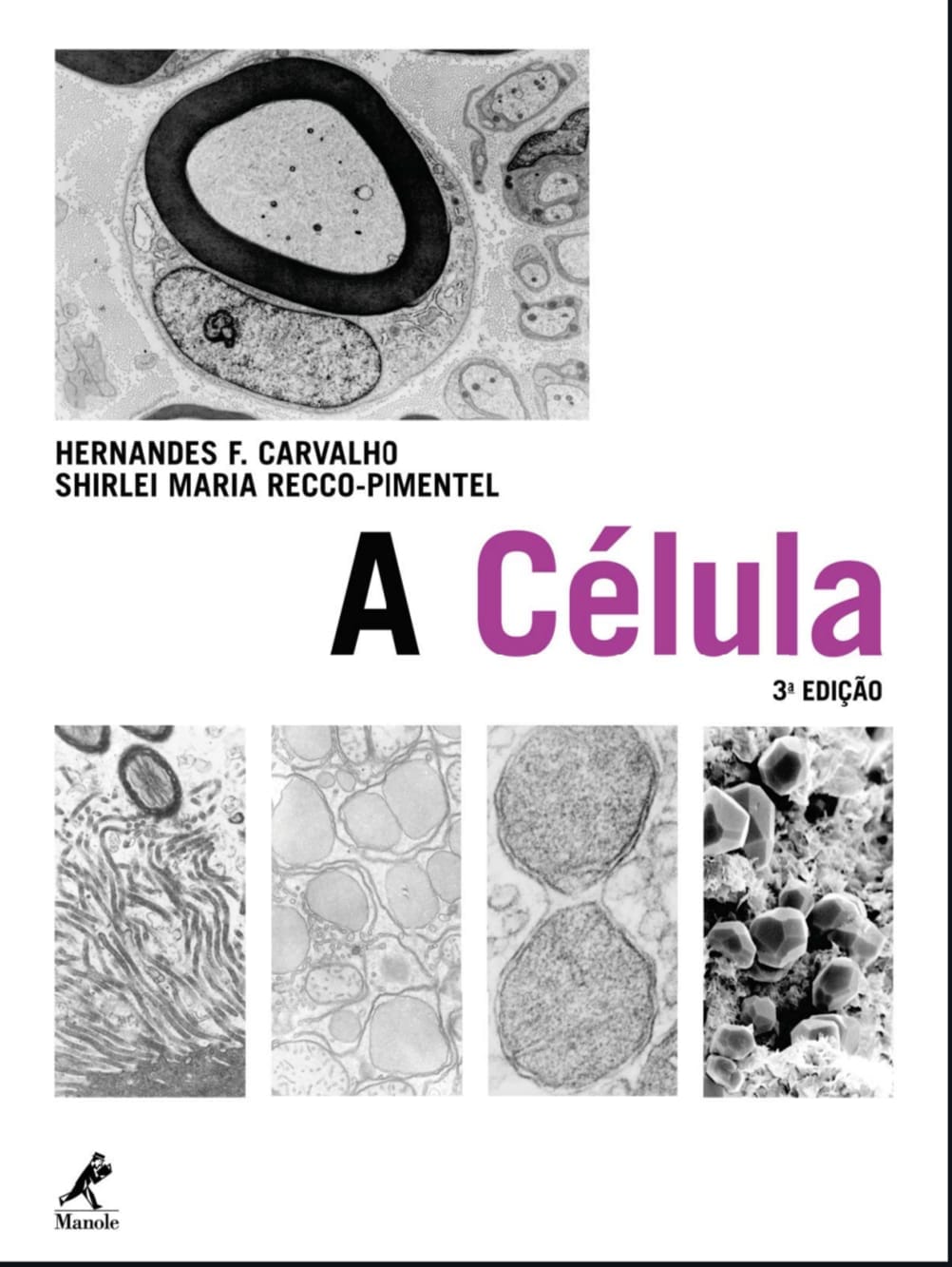 Capa de A Célula – Biologia PDF
