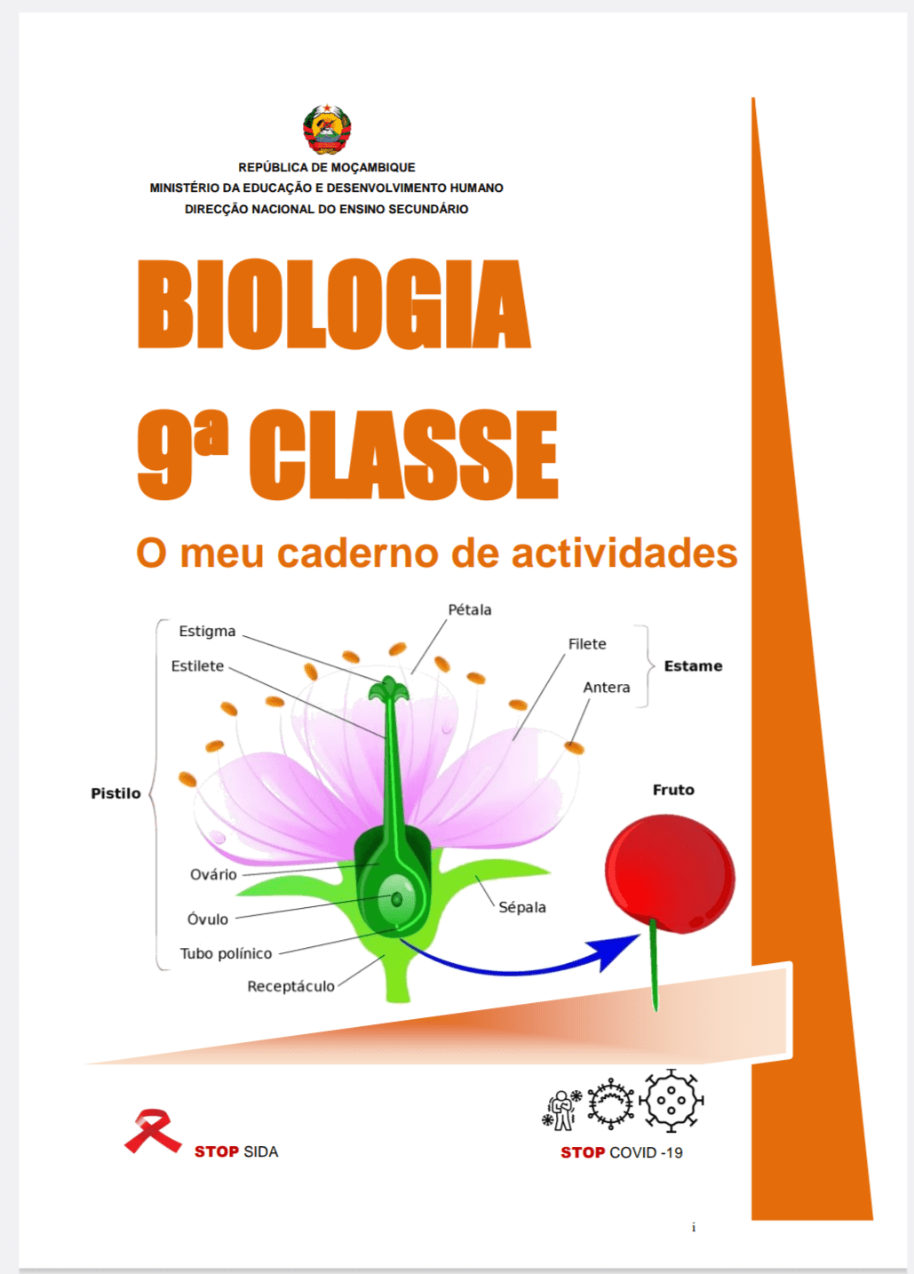 Capa de Biologia 9ª Classe PDF Moçambique — Baixar Livro Escolar Gratuito
