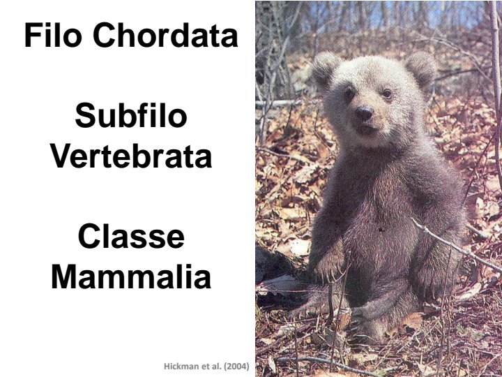 Capa de Biologia animal pdf
