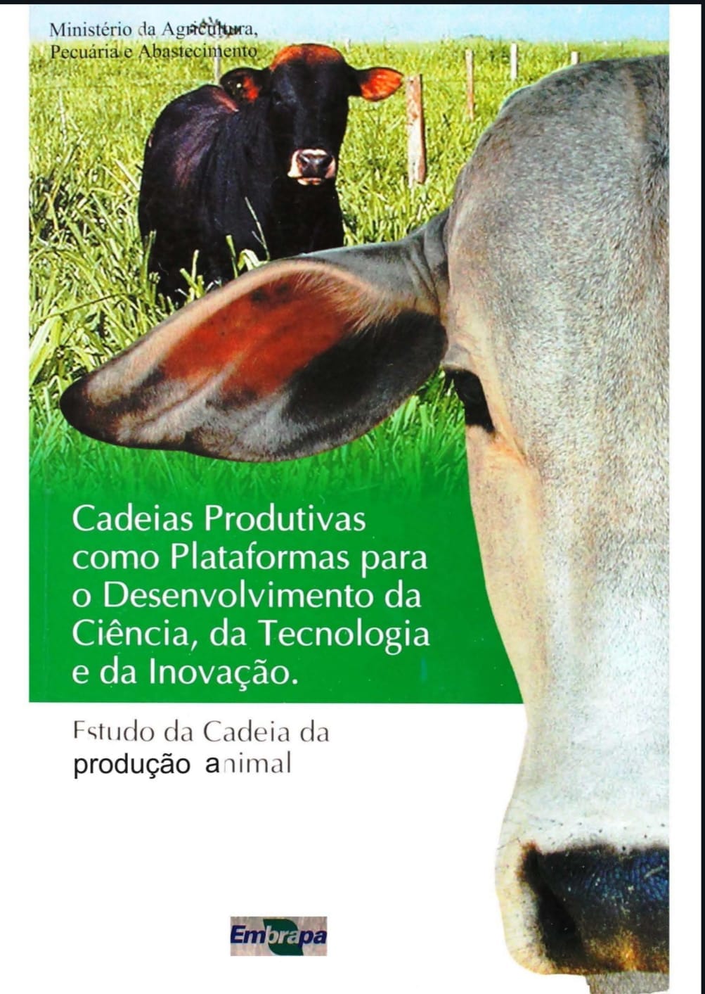 Capa de Cadeia de produção animal