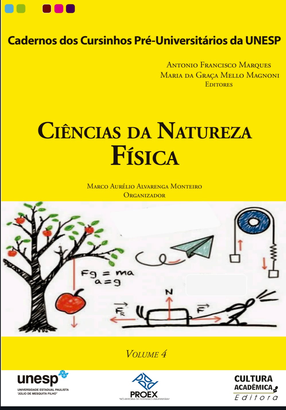Capa de Ciências da Natureza Física pdf