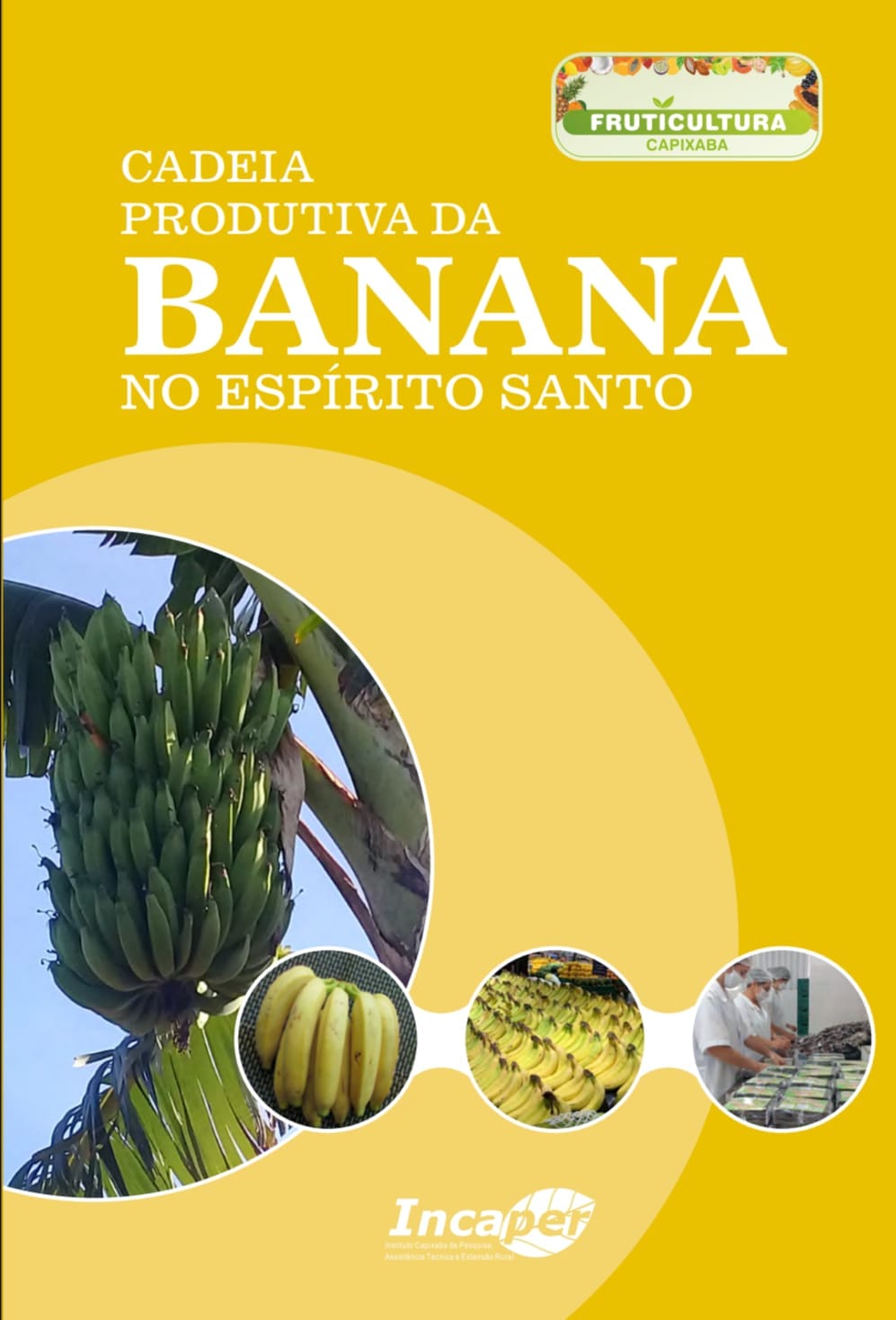 Capa de Cultura da banana pdf