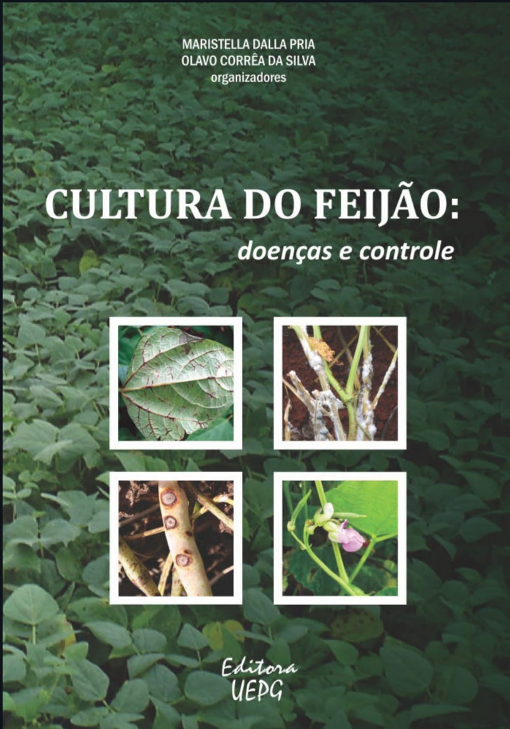 Capa de Cultura de Feijão pdf