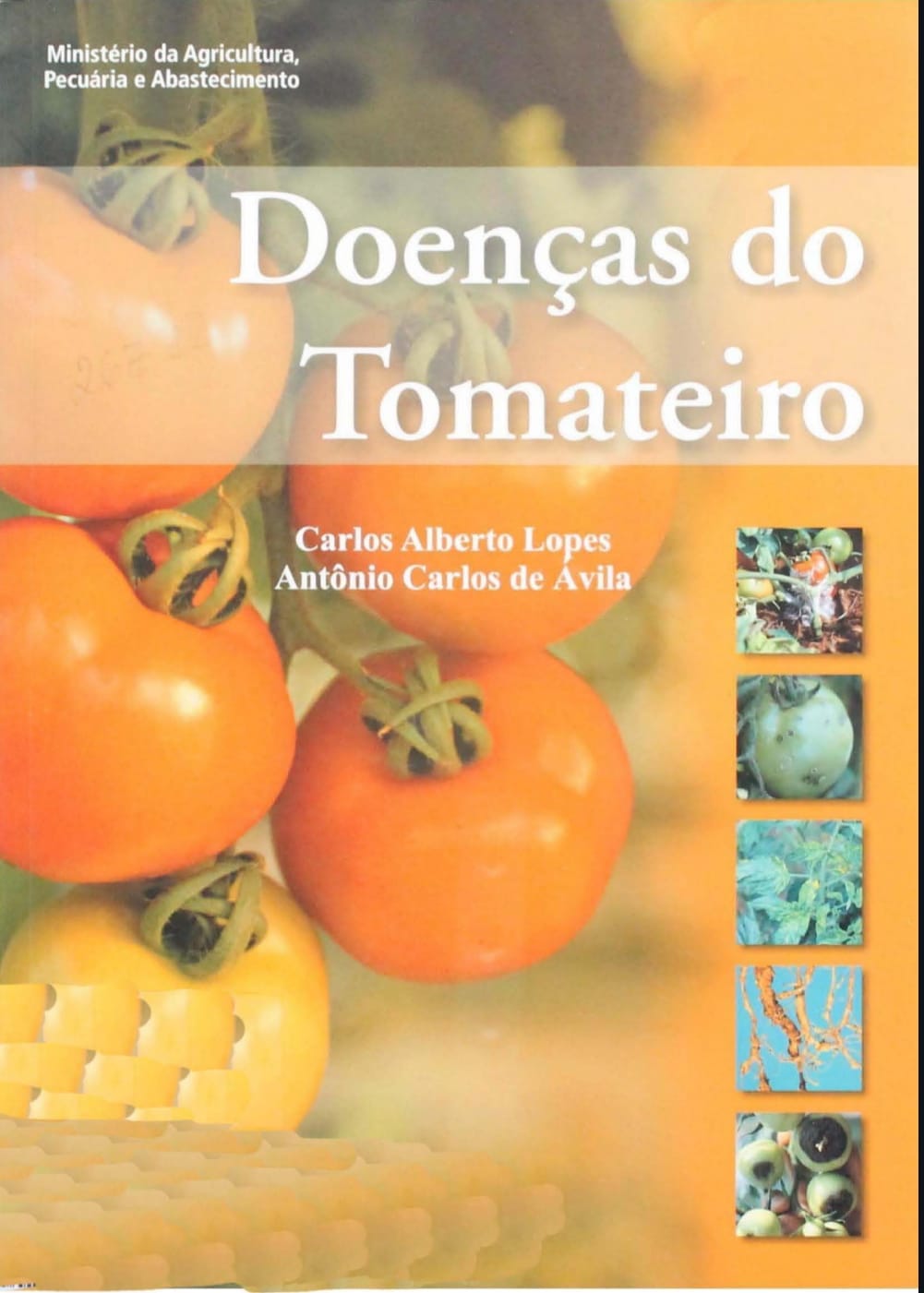 Capa de Doenças do tomateiro pdf