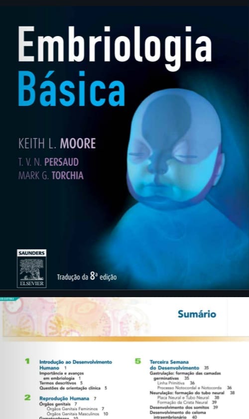 Capa de Embriologia básica pdf