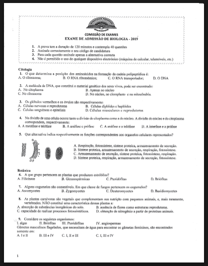 Capa de Exame de Biologia – 2019 (UP): Conteúdos, Estrutura e Guia Completo de Estudo