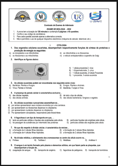 Capa de Exame de Biologia – 2024 (UP): Conteúdos, Estrutura e Guia Completo de Estudo