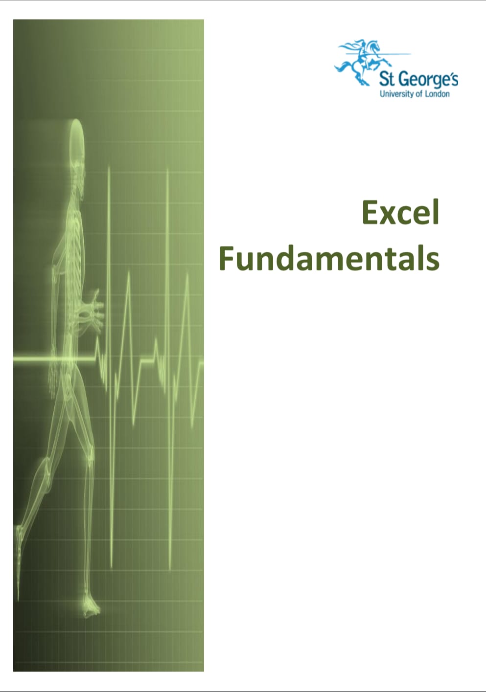 Capa de Excel Fundamentals pdf