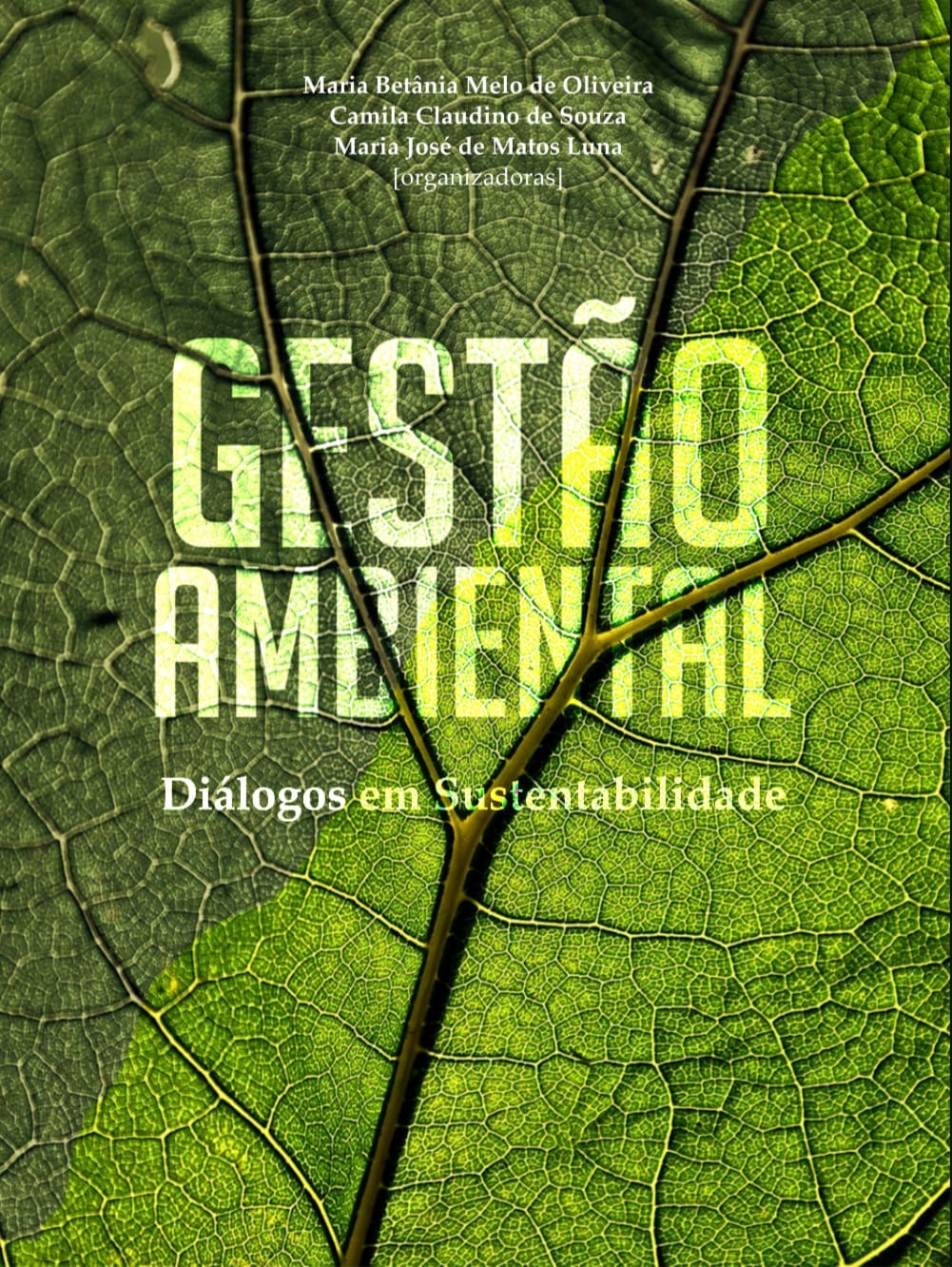 Capa de Gestão ambiental pdf