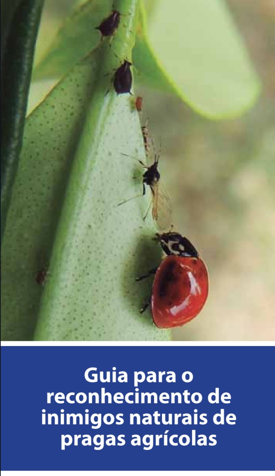 Capa de Inimigos naturais pdf