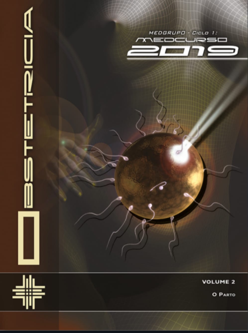 Capa de Introdução ao parto volume 2 pdf
