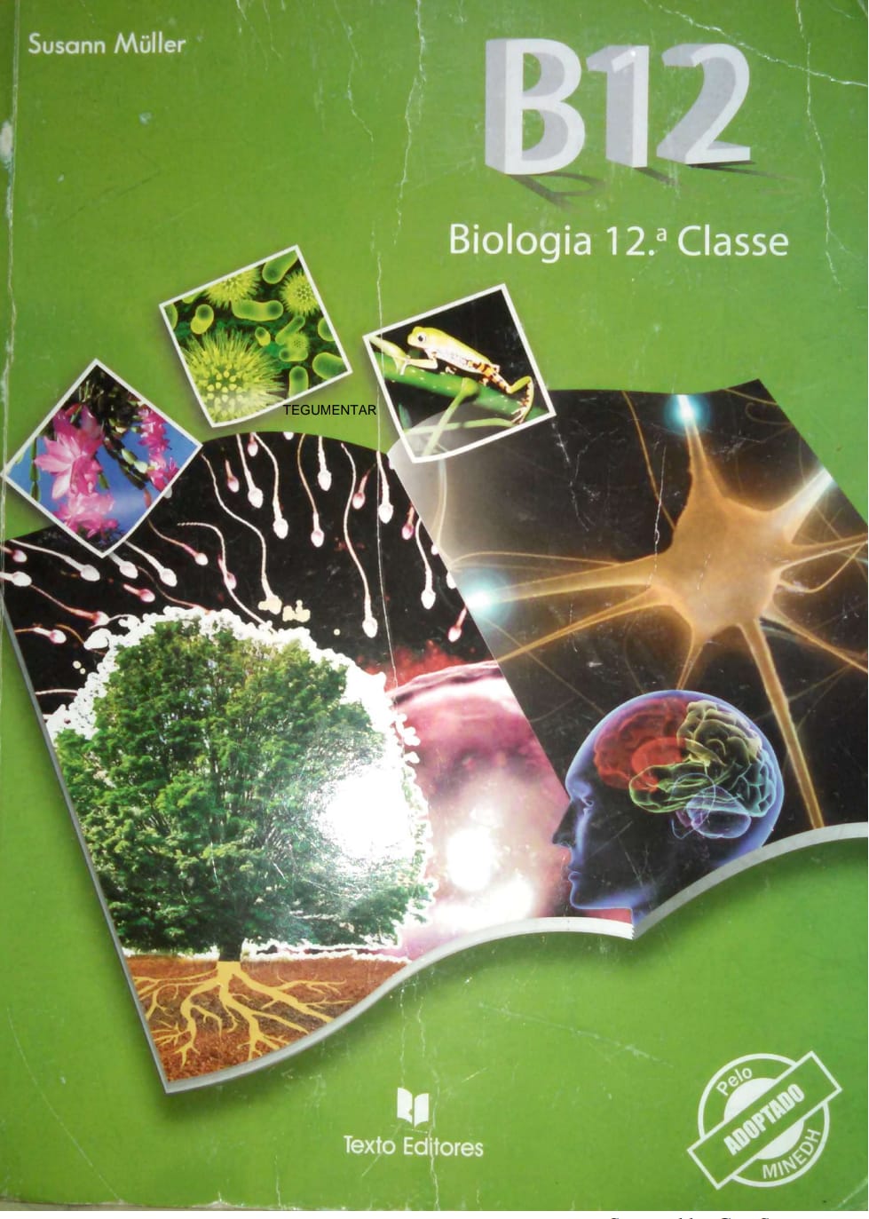 Capa de Livro Biologia 12ª Classe PDF —