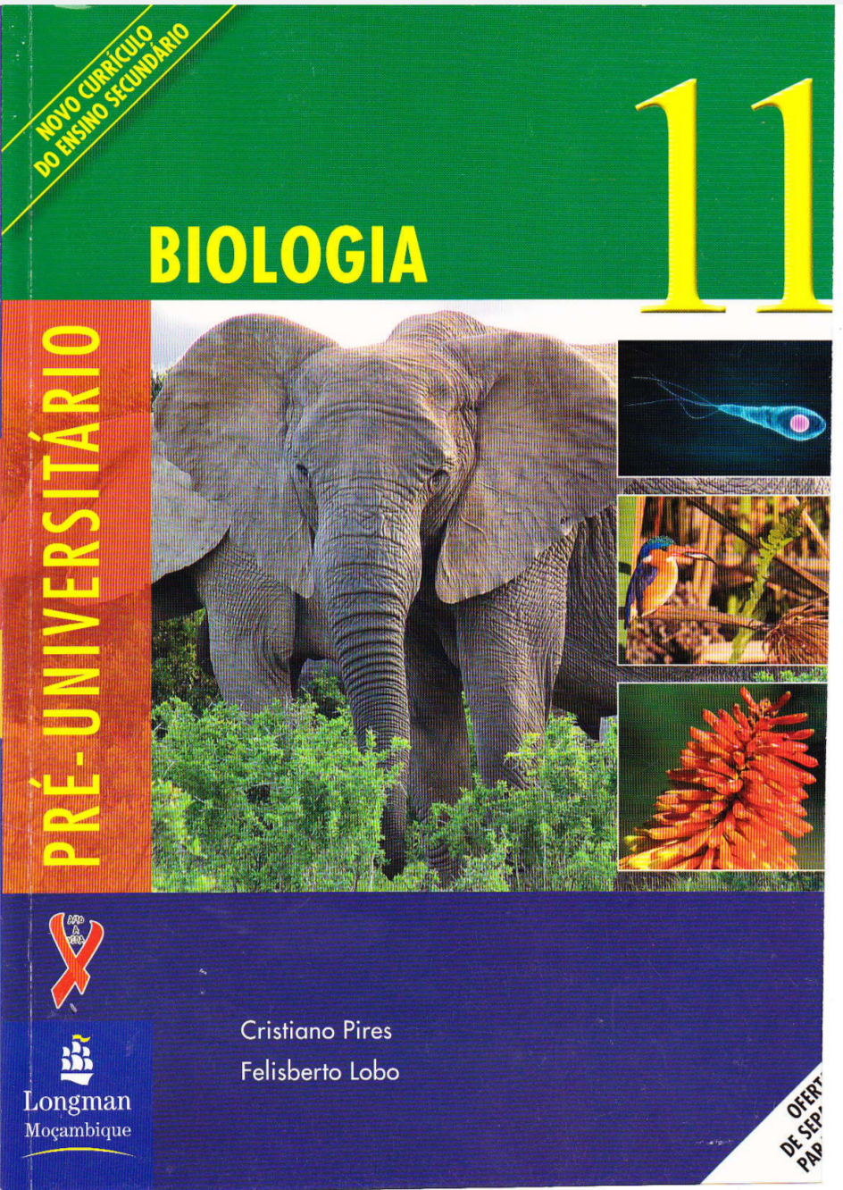 Capa de Livro de Biologia 11ª Classe – PDF baixar