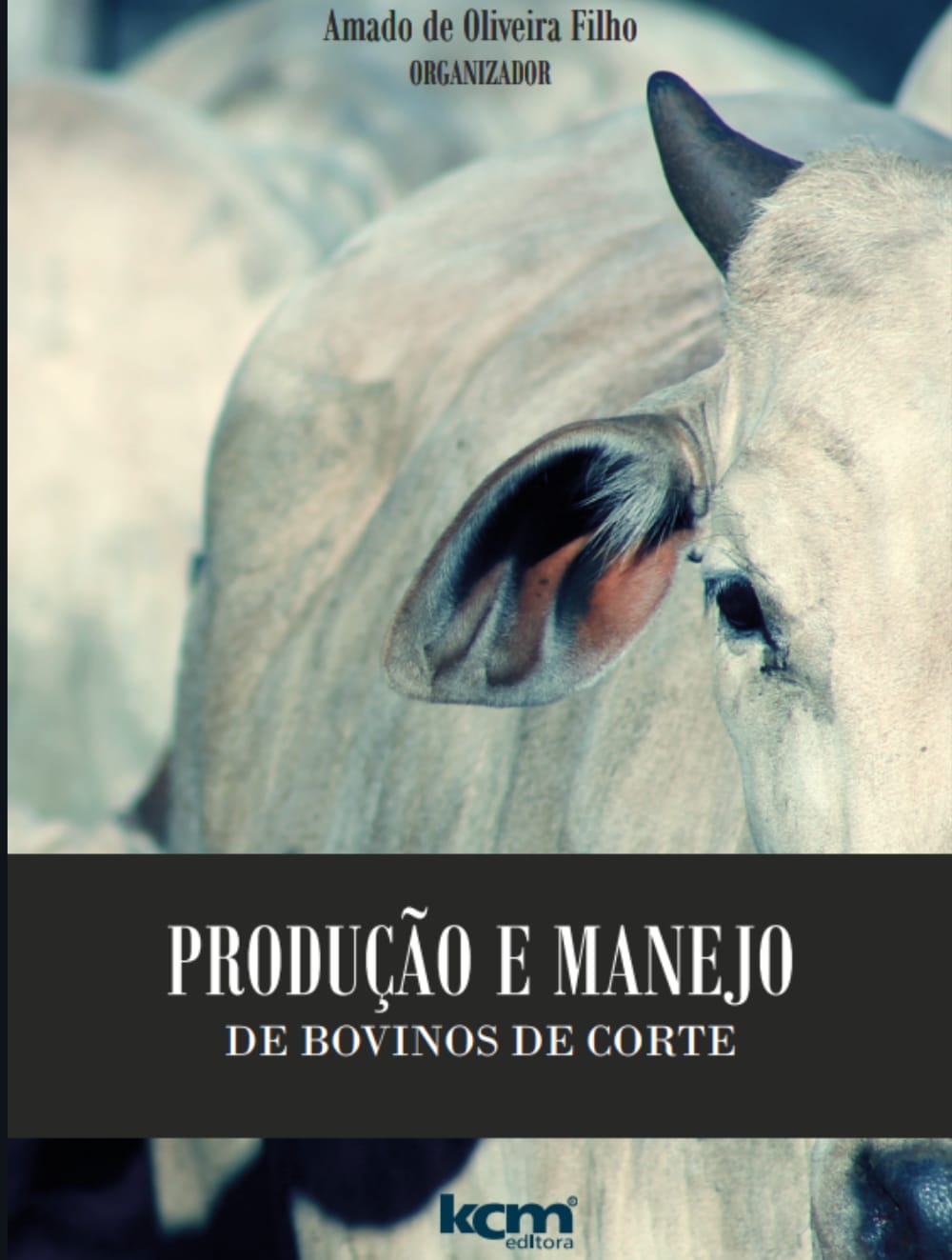 Capa de Manejo de bovinos de corte pdf