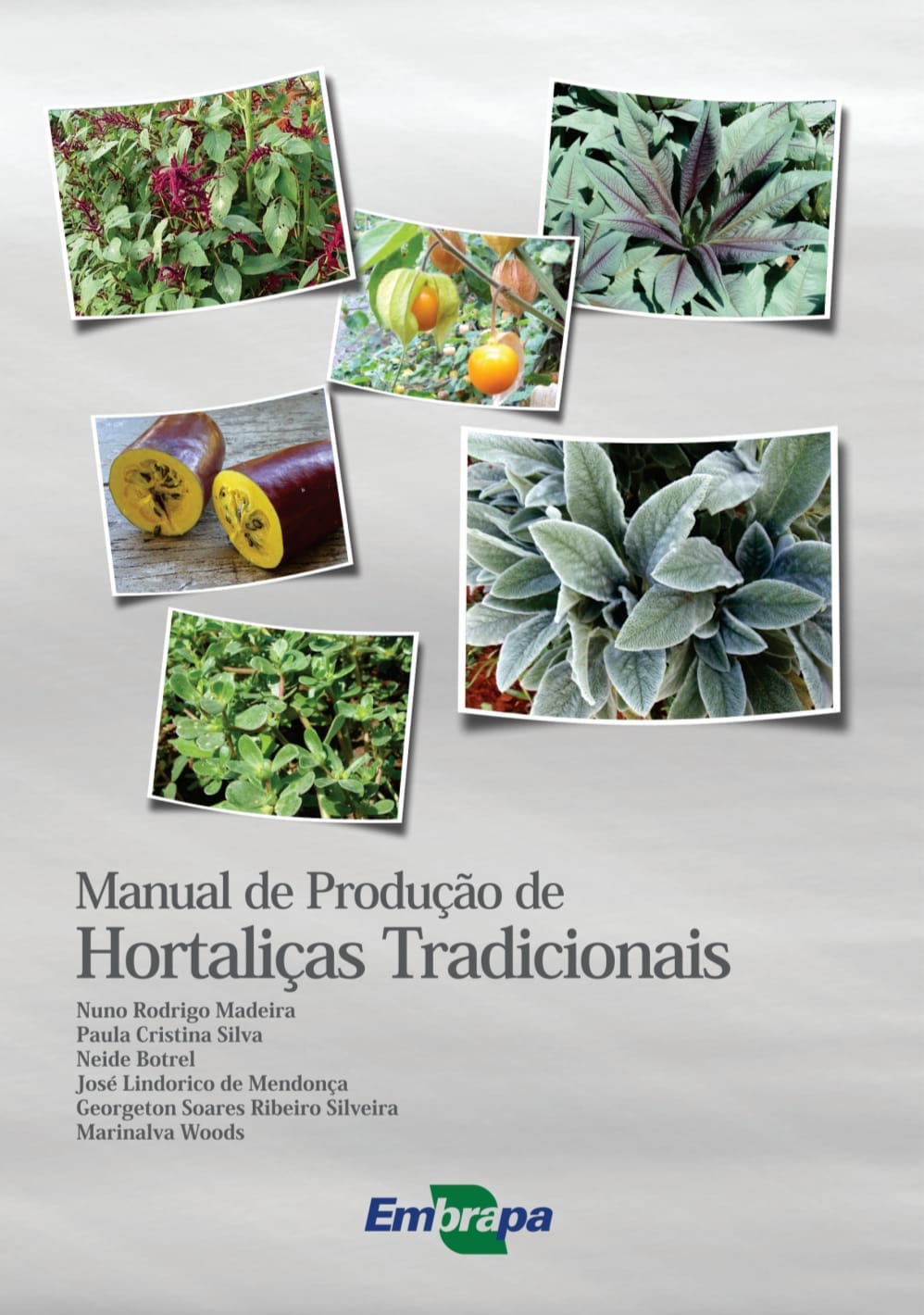 Capa de Manual de produção de hortaliças pdf