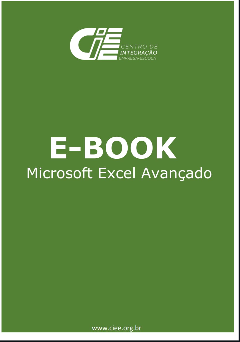 Capa de Microsoft Excel Avançado pdf