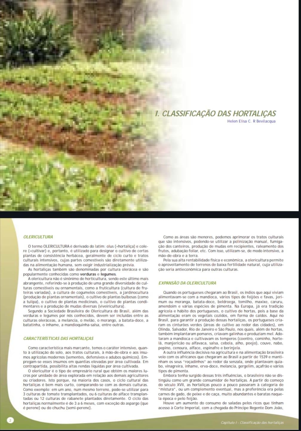Capa de pdf: Classificação das hortaliças pdf