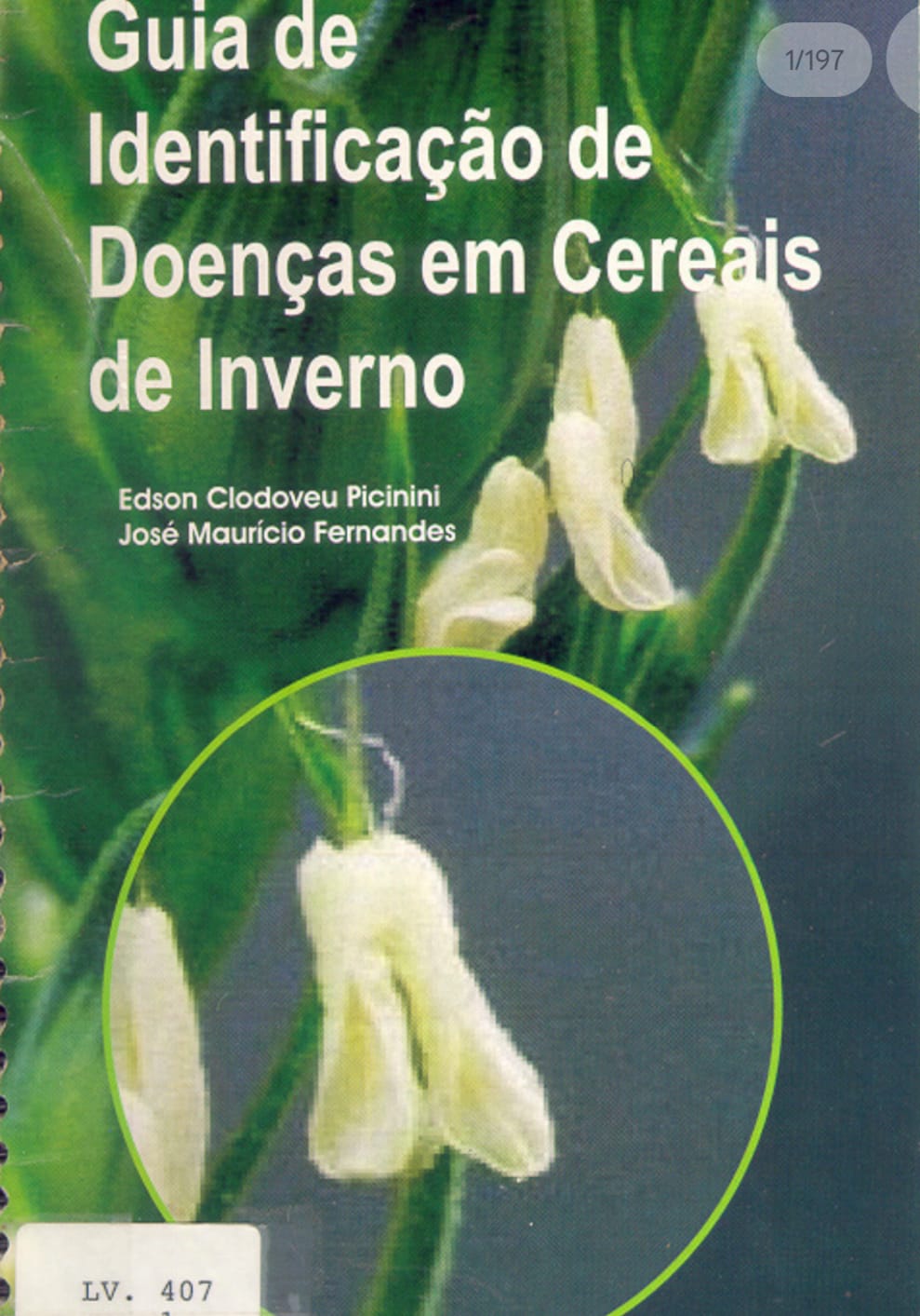 Capa de pdf: Doenças em Cereais