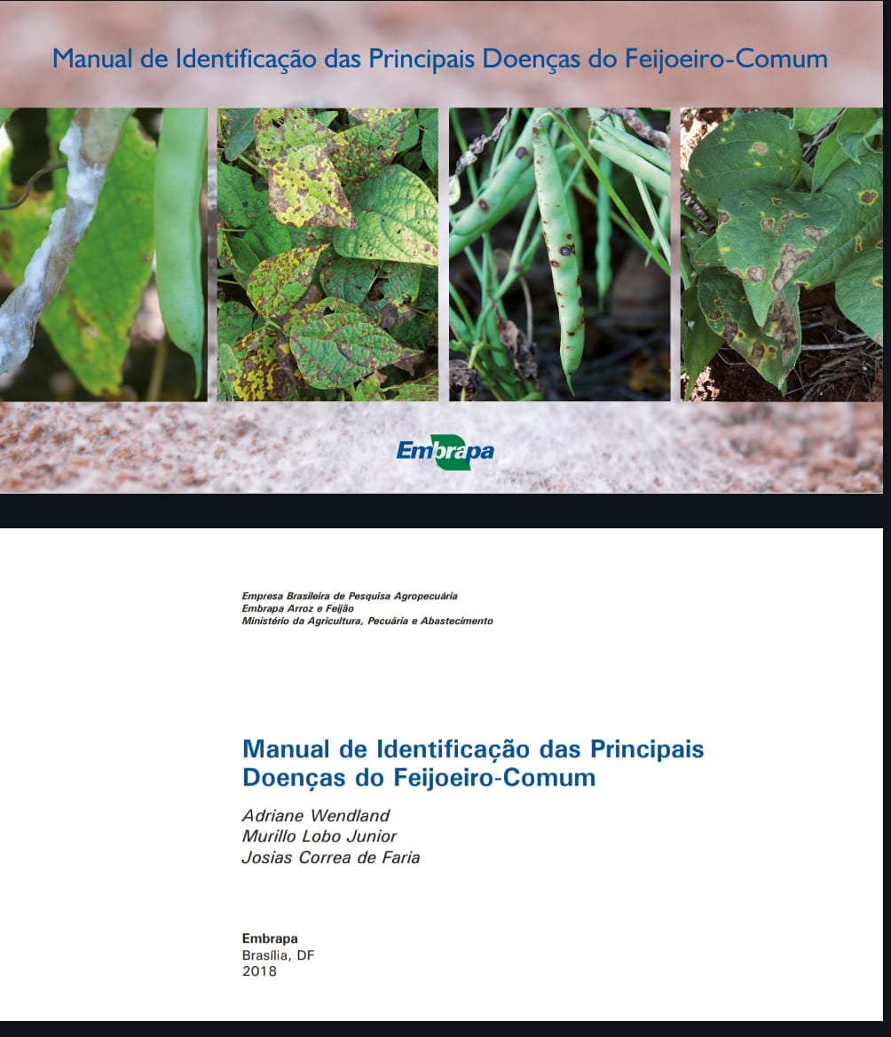 Capa de Principais Doenças do Feijoeiro pdf