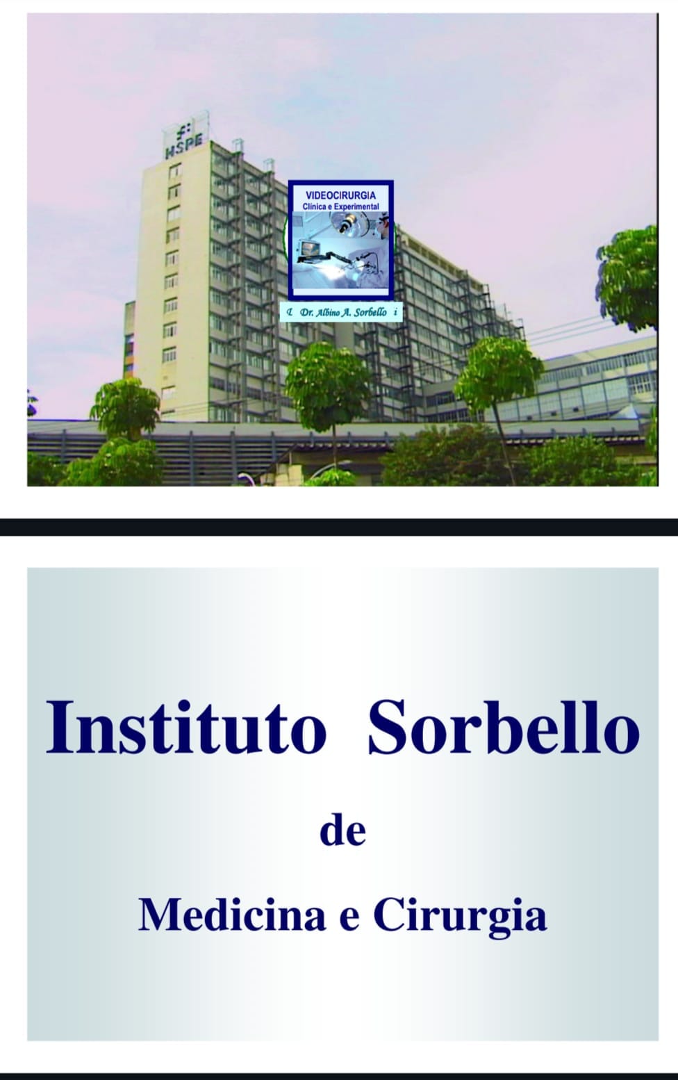 Capa de Princípios da  Cirurgia pdf