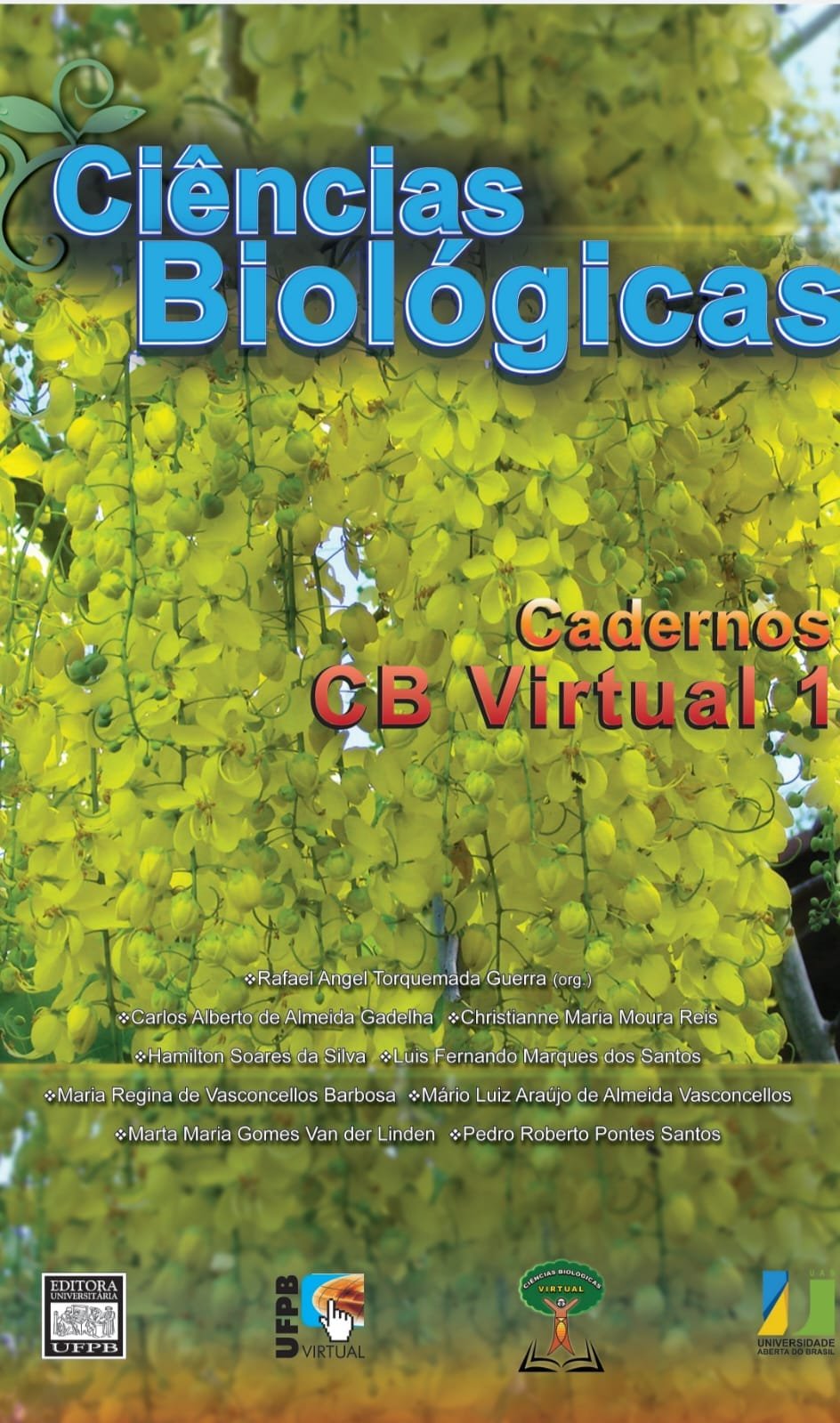 livro pdf grátis