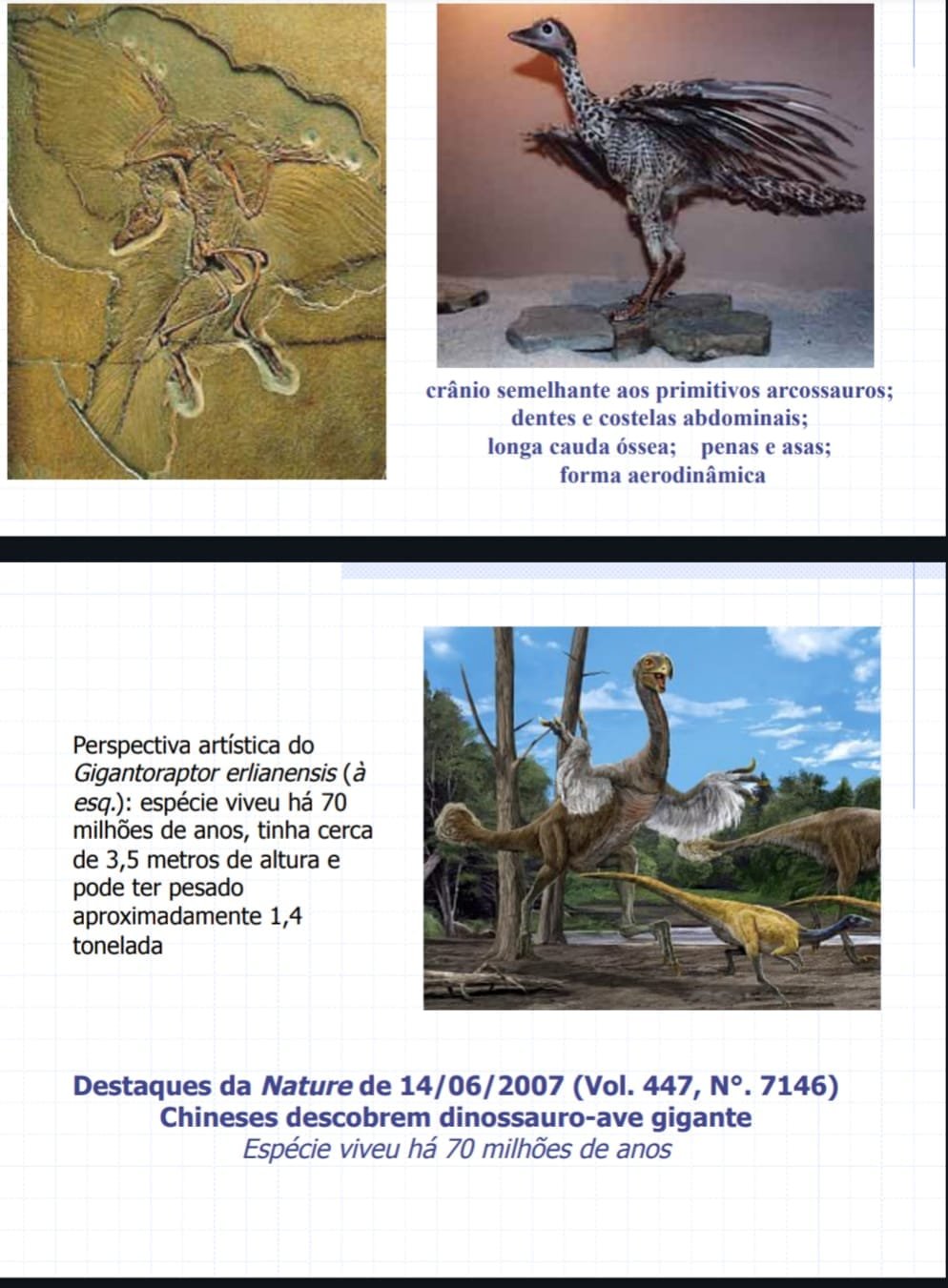 livro pdf grátis