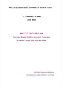 Direito pdf