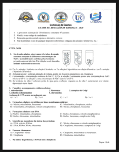Exame de Biologia – 2020 (UP): Conteúdos, Estrutura e Guia de Preparação