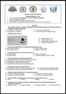 Exame de Biologia – 2024 (UP): Conteúdos, Estrutura e Guia Completo de Estudo