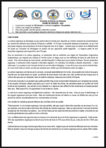 Exame de Francês – 2024 (UP): Conteúdos e Guia de Estudo Completo