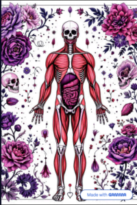 Explorando a Anatomia